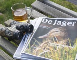 green publications and magazines 